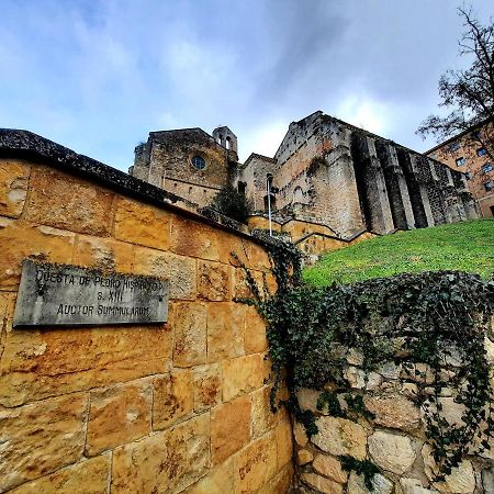 Apartamento Medieval En El Camino De Santiago エステーリャ エクステリア 写真